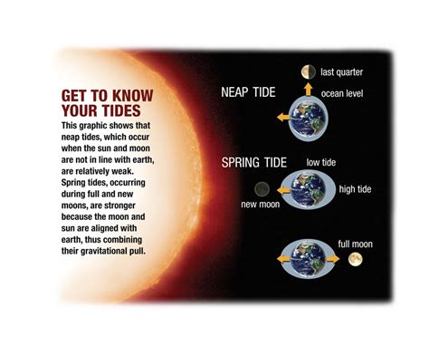 Understanding Tides - In-Fisherman