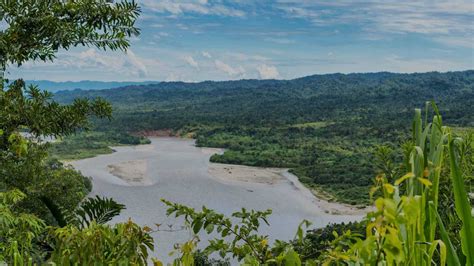 Manu es una joya natural de la Amazonía peruana - Huillca Expedition