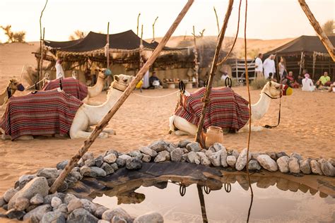 Experience life as a Bedouin nomad, making a life in Dubai’s unforgiving desert. | Amazing ...