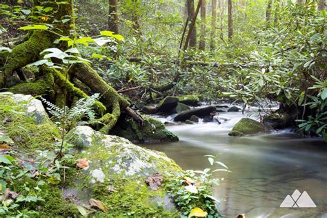 Bear Creek Trail in North Georgia