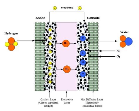 Modeling the Catalyst Layers