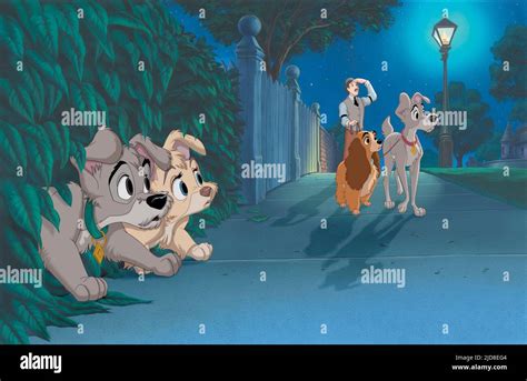 SCAMP,ANGEL,JIM,LADY,TRAMP, LADY AND THE TRAMP II: SCAMP'S ADVENTURE ...