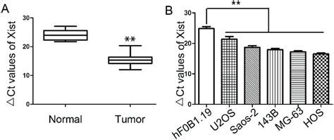 Expression of Xist in OS tissues and OS cell lines. (A) Relative ...