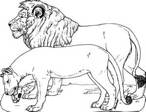 Coloriage Animaux sauvages lion à imprimer