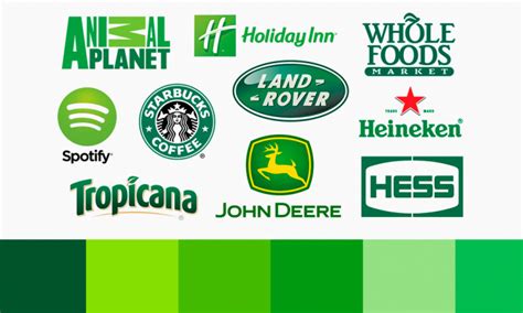 Green Logos: famous green logo examples and it's meaning | Turbologo