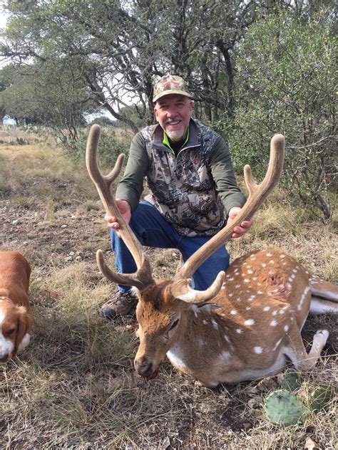 Exotic Axis Buck Hunting in South Texas | 4 Amigos Ranch