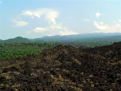 Mount Cameroon Trekking and Hiking Tour