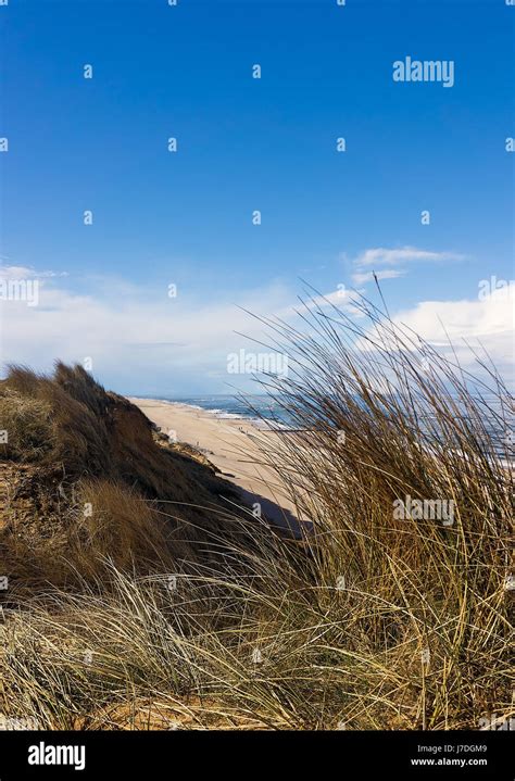 Beach and Ocean - Sylt, Germany Stock Photo - Alamy