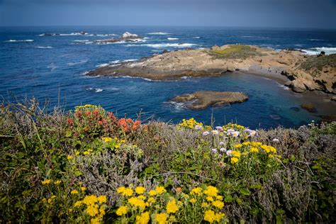 Point Lobos State Reserve - Best Photo Spots