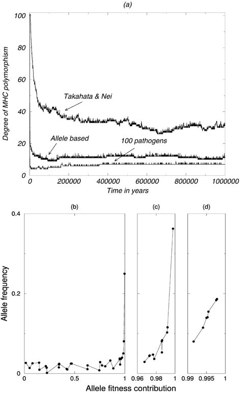 a-d MHC polymorphism evolving in stochastic simulations under varying ...