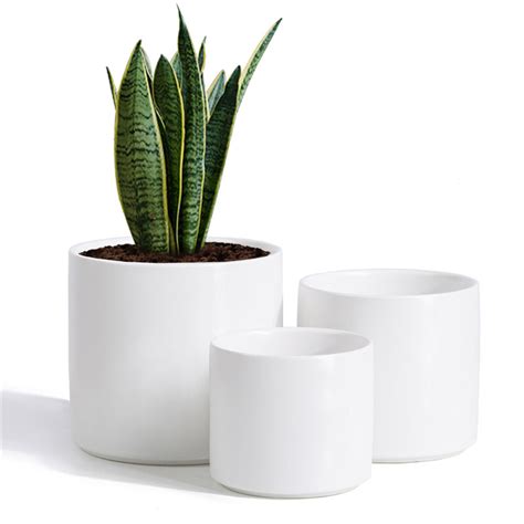 Modern Plant Pots | Modern Pots Manufacture | Ancooly.com