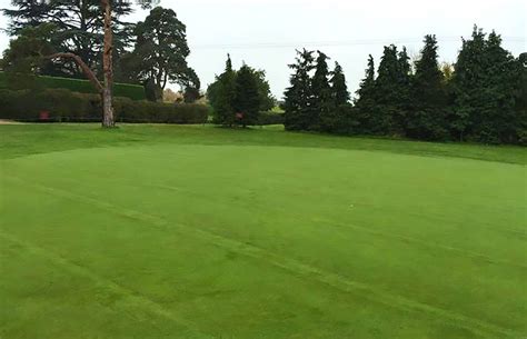 Dyrham Park Golf & Country Club - Greens Drainage — Turfdry