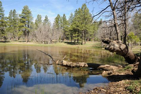 Hike the Munds Park Trail System - PHOENIX magazine