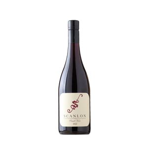 Pinot Noir | Regions Cellars