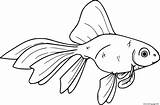Goldfish Coloring Pages sketch template