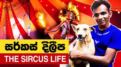 සර්කස් දිලීප | The Circus Life | Circus Sri Lanka | Dileepa Circus ...