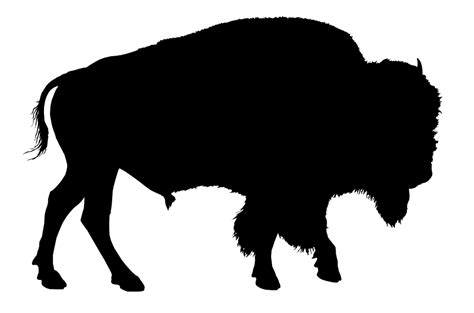 Bison PNG