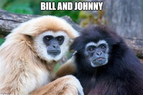 Bill and Johnny - Imgflip