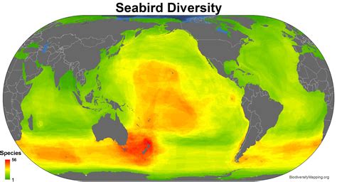 These 9 U.S. biodiversity hotspots urgently need protection - Big Think