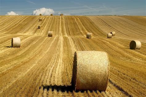 Heuballen / Hay bales | Fall pictures, Hay bales, Farm life