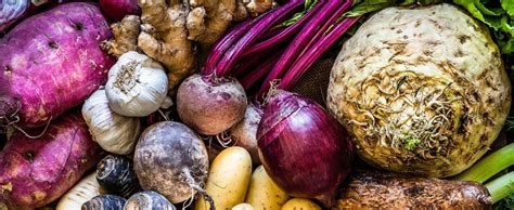 Tubers - Types and Examples (List) of the 28 Edible Root Vegetables