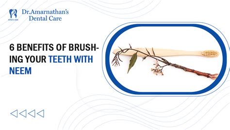 6 Benefits of Brushing Your Teeth with Neem