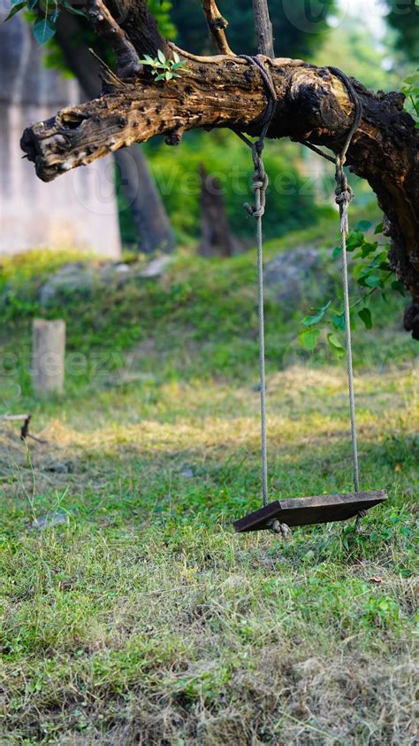 tree hanging hammock hd image 21631681 Stock Photo at Vecteezy