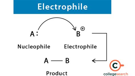 Difference Between Electrophile and Nucleophile: Definitions, Examples, Characteristics ...