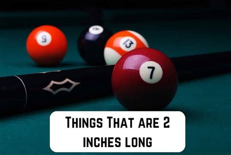 9 Common Things That are 2 Inches Long (With Pictures) | Measuringly