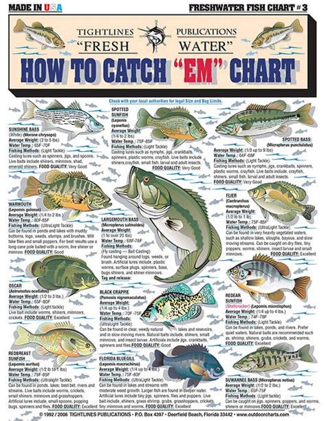 How to Identify Freshwater species, Shad, Perch, Walleye, Bluegill ...