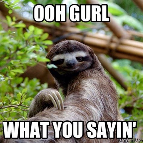 Ooh gurl.. | Sloth, Cute sloth, Sloth meme