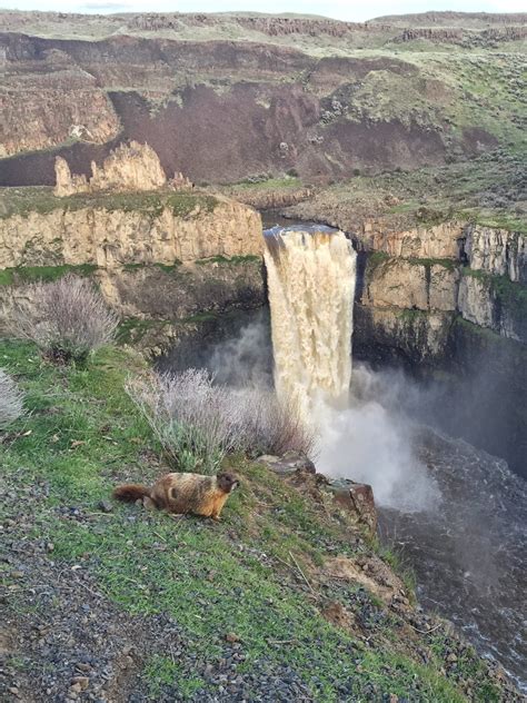 Palouse Falls — Washington Trails Association