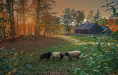 Autumn Sunset at the Old Farm Photograph by Wayne Marshall Chase - Fine ...