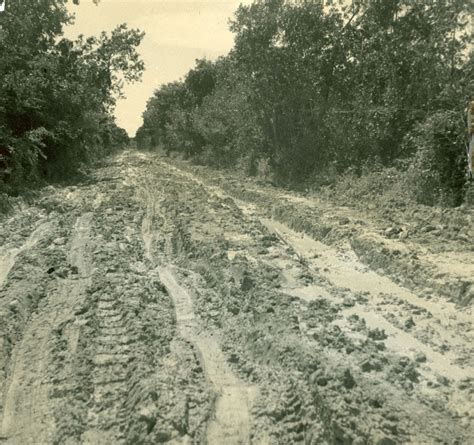 Florida Everglades Ecosystem: Historical Impact