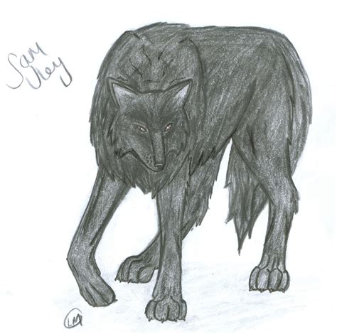 Sam Uley wolf :D by LiannexSupernatural on DeviantArt