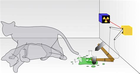 Schrodinger’s cat Paradox and why Erwin Schrodinger quit physics and ...