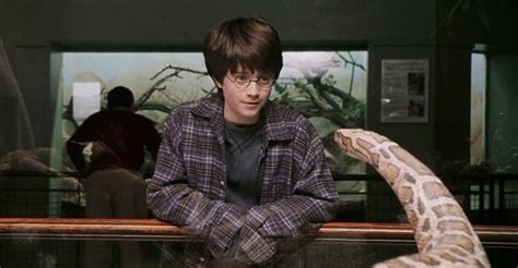 harry potter - What Kind of Snake Is Nagini? - Science Fiction ...