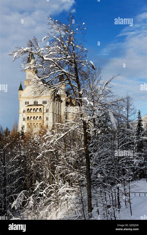 Winter in Bavaria - Schwangau - Neuschwanstein Castle Stock Photo - Alamy