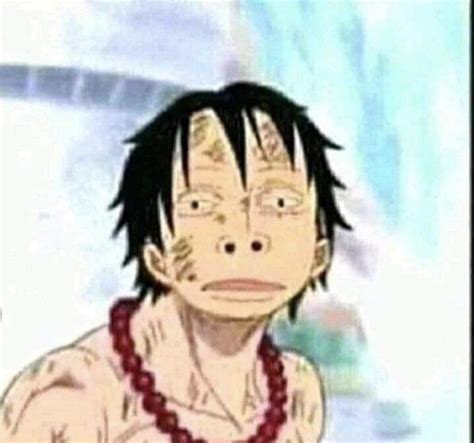 Some Cursed Image of Luffy’s Meme Face on Ace’s Body. (Found on Discord ...