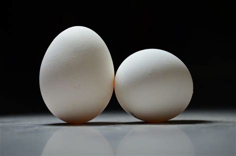 Egg Protein - Supplements in Review