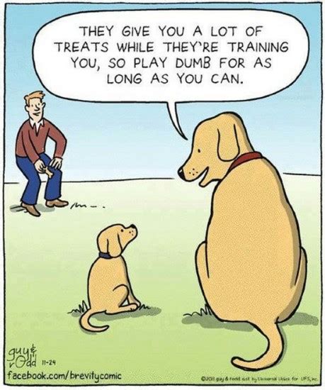 Some silly cartoons | Dog Forum | dogforum.co.uk