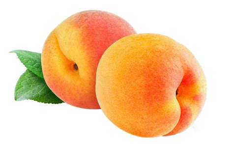 Peach PNG Image - PurePNG | Free transparent CC0 PNG Image Library