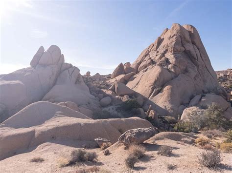 Skull Rock Joshua Tree: Hiking Guide — The Discoveries Of