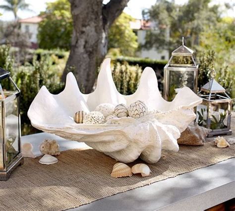 Loading... | Giant clam shell, Giant clam, Sea decor