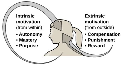 How to Unleash the Inner-Motivator Within: 3 Strategies that Inspire Intrinsic Motivation ...