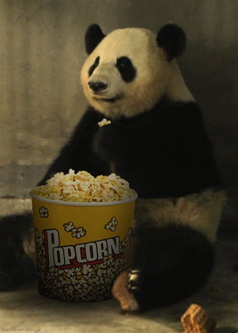 Popcorn pictures has GIF on GIFER - by Chillstalker