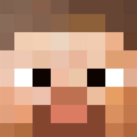 Minecraft Steve Head Pattern