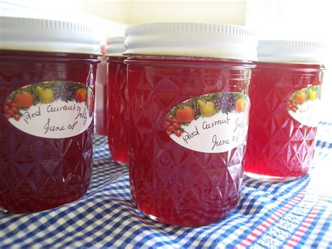 The Easiest Jelly in the World – Laughing Duck Gardens & Cookery