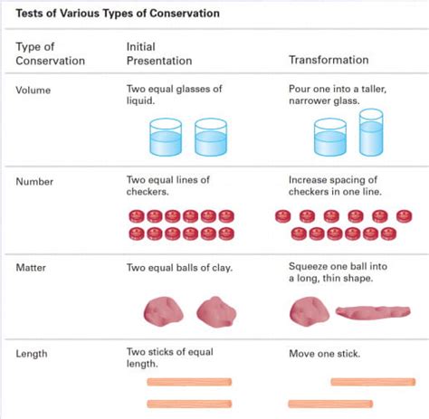 The Preoperational Stage – Intro Psych Blog (F19)_Group 9