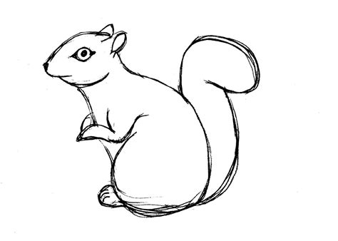 Free Printable Squirrel Coloring Pages For Kids - Animal Place